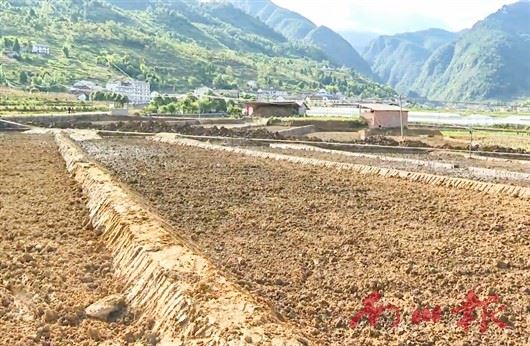 南川区高标准农田建设有序推进