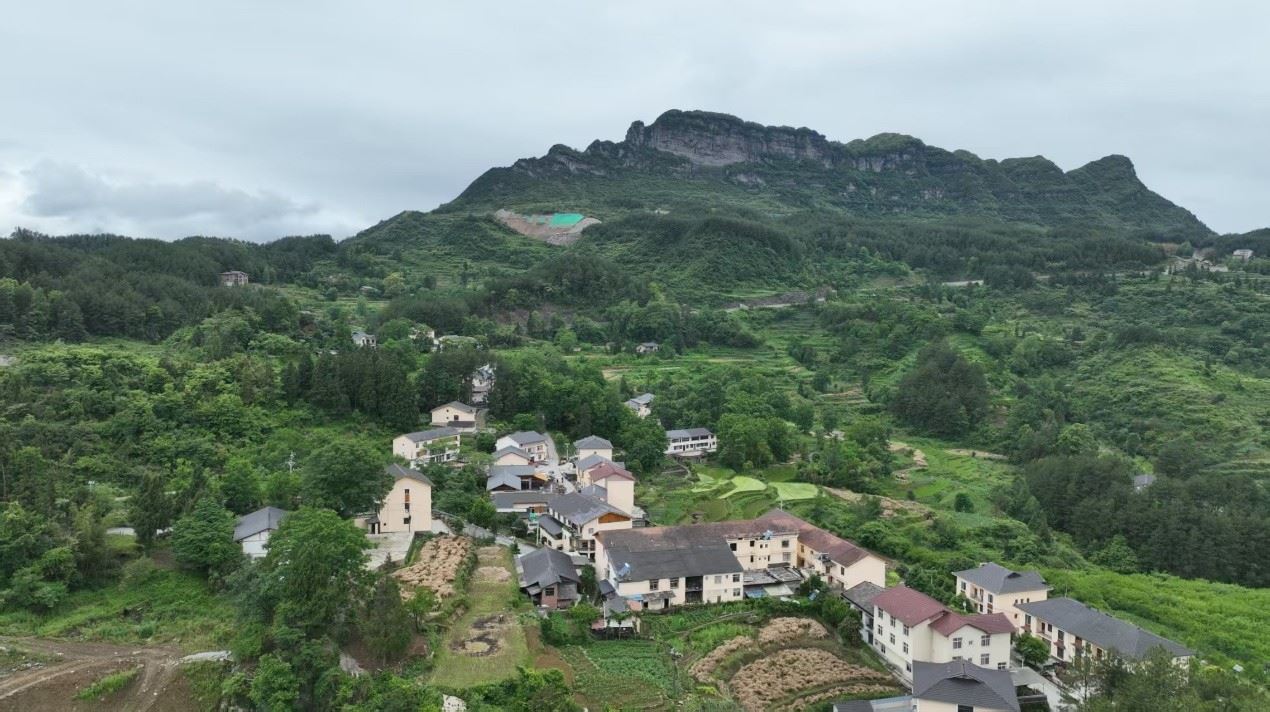南川:“石韵山乡”绘出乡村振兴新图景