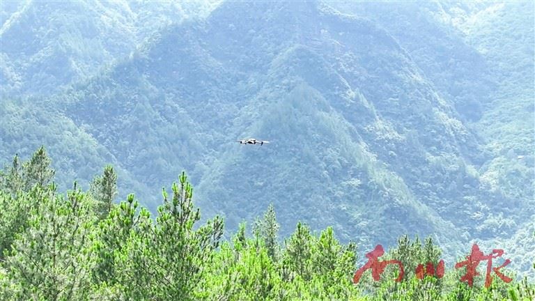 南川:从人防到智防 无人机巡检+数字预警筑牢地灾防线