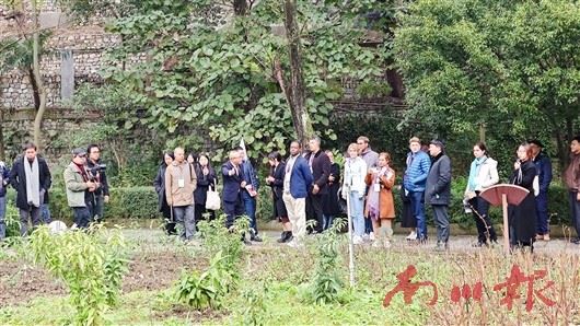 中医药文化的国际邂逅  陆海之约·文明互鉴国际文化交流活动走进南川