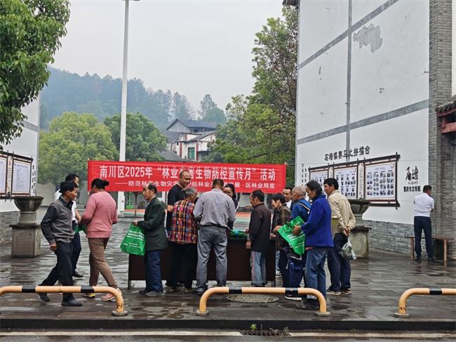 南川区开展2025年林业有害生物防控宣传月活动