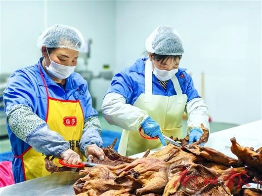 南川木凉镇:农企投产即火 赋能乡村振兴