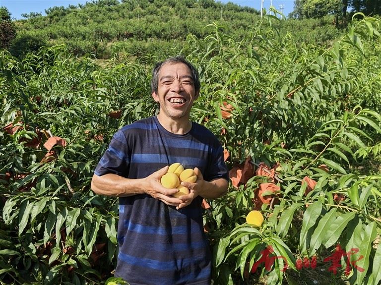 南川:60亩荒草丛里长出“黄金果”