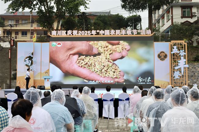 稻香雨润迎丰年 南川好“米”香飘乡村振兴路