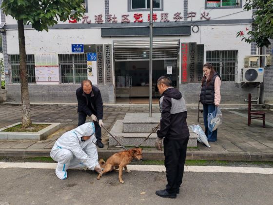 合溪镇开展“筑牢狂犬病防控安全防线”志愿服务活动