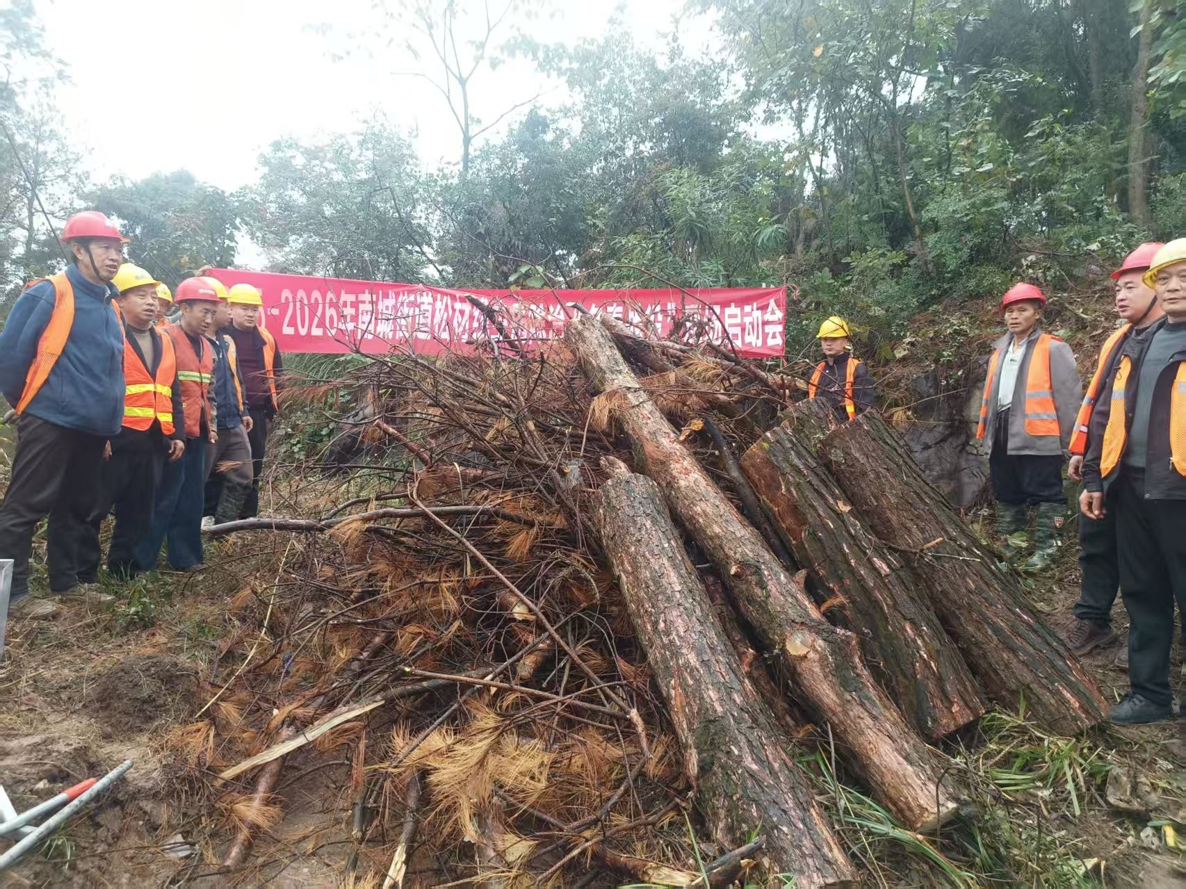 南城街道全面启动松材线虫病防治“秋冬战役”