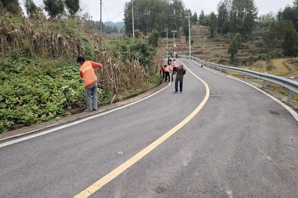 乾丰镇专项清理道路沟渠杂草为群众出行安全护航