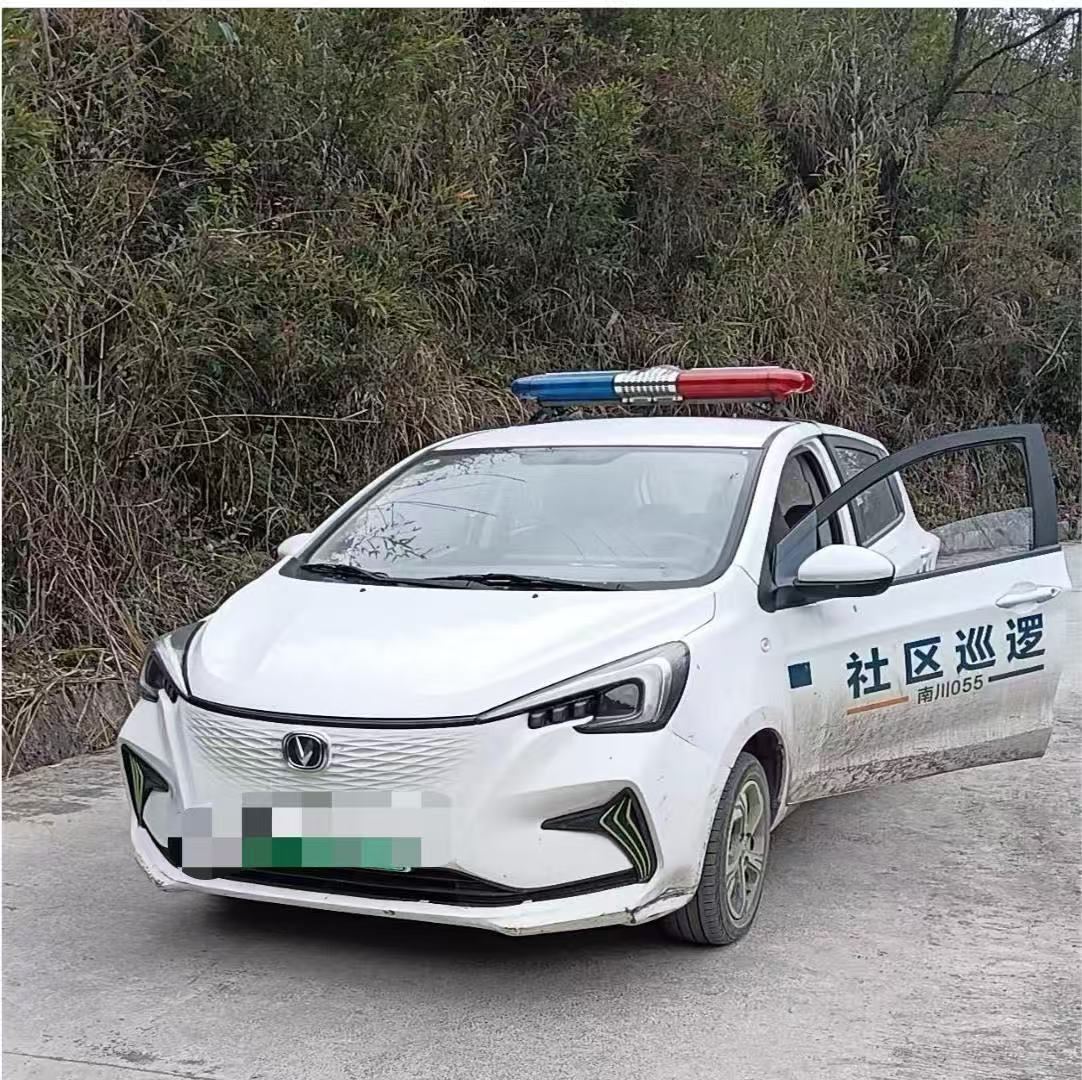 大有镇多措并举开展森林防火宣传筑牢安全防线