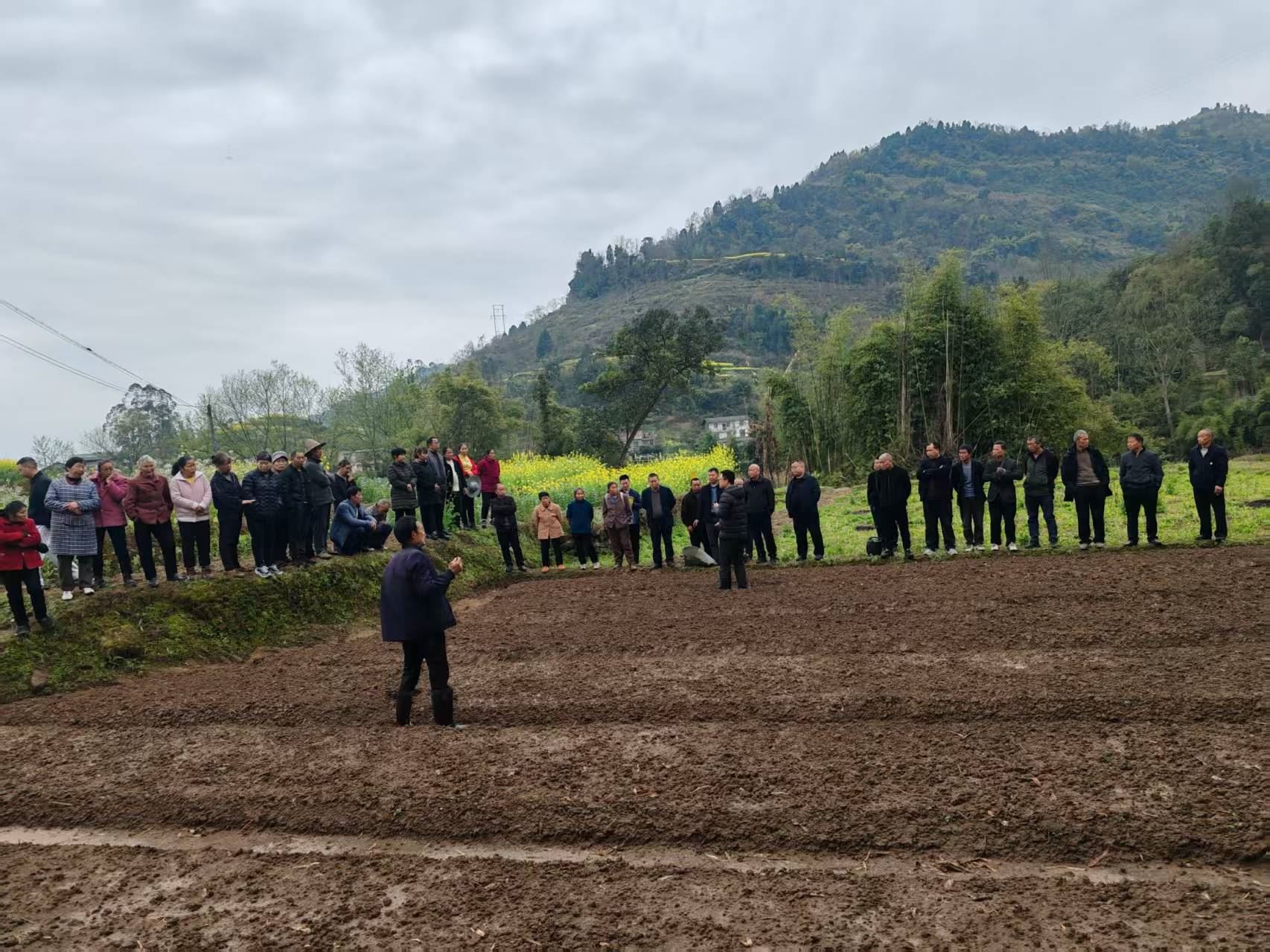 楠竹山镇开展苎麻育苗培训