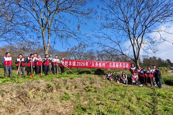 乾丰镇开展义务植树志愿服务活动