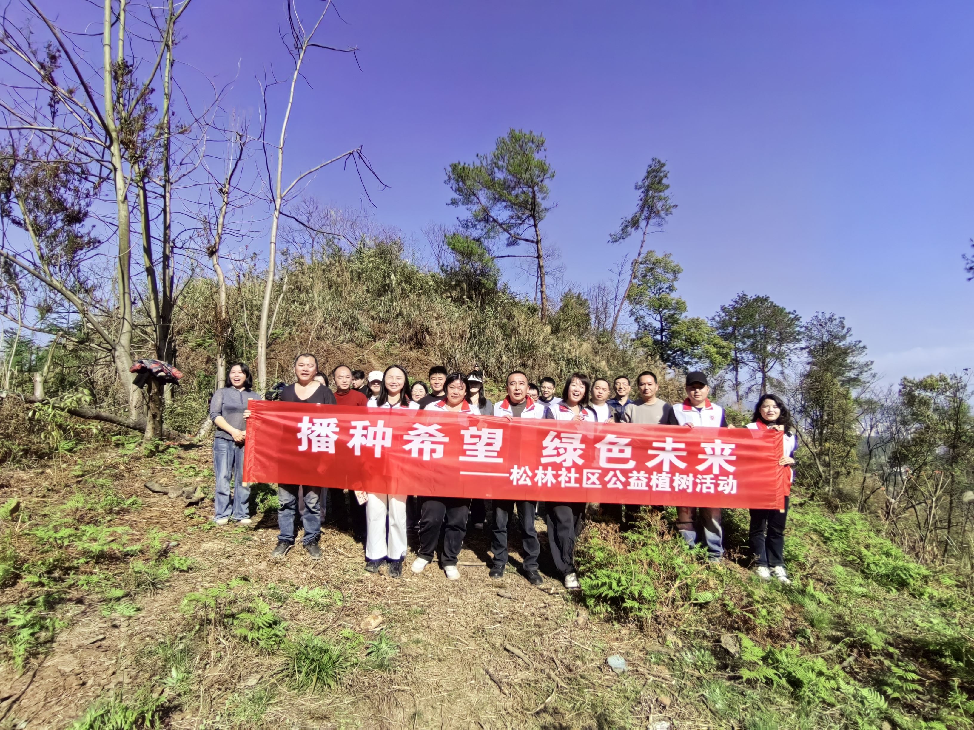 南城街道在松林社区开展义务植树活动