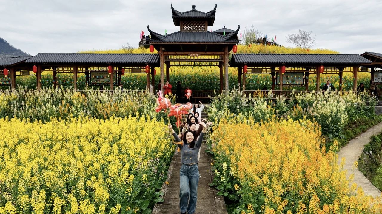 南川区鸣玉镇第五届“五彩繁花季”盛大开启