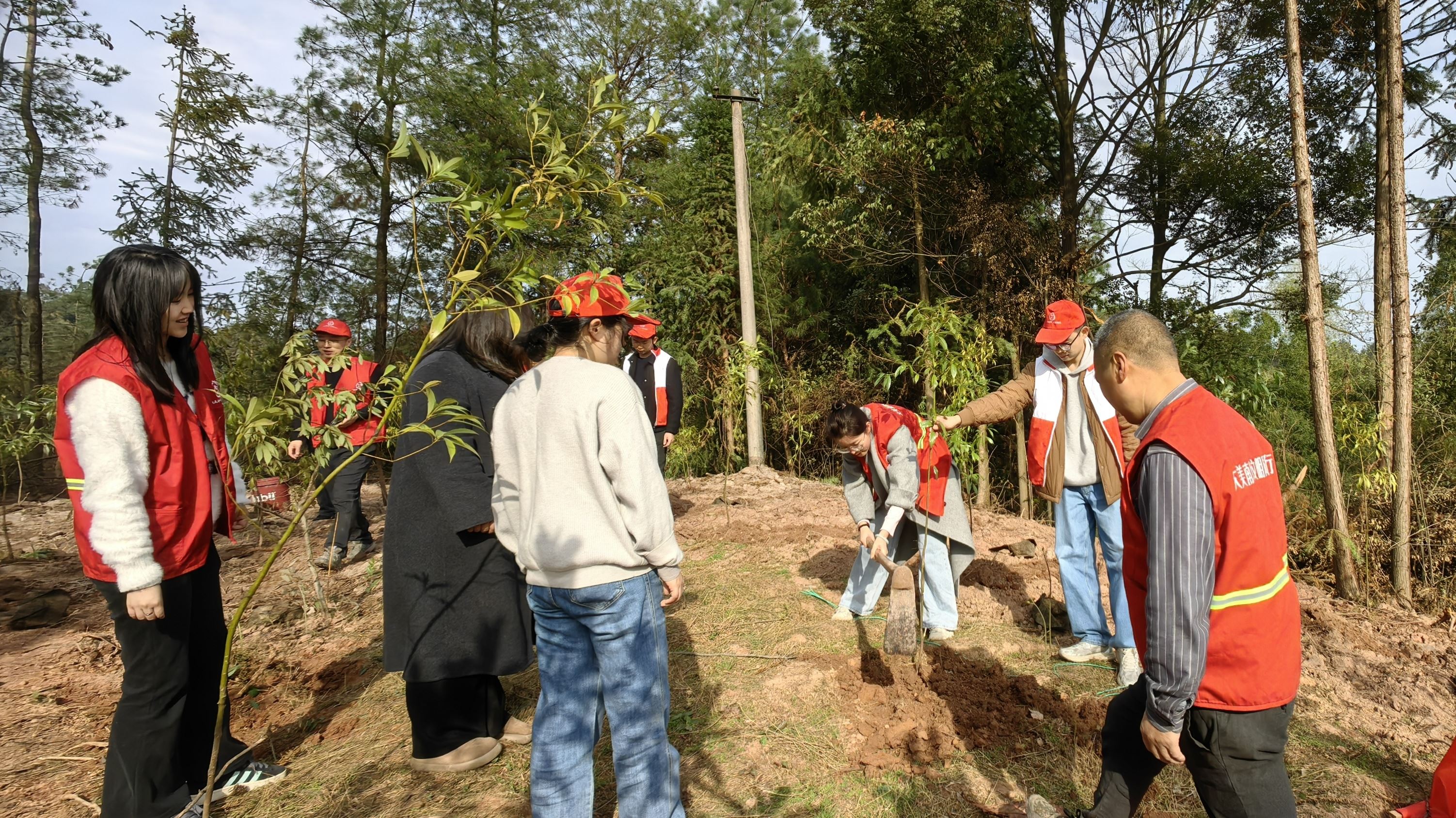 添绿“美”乡村，黎香湖镇开展植树活动