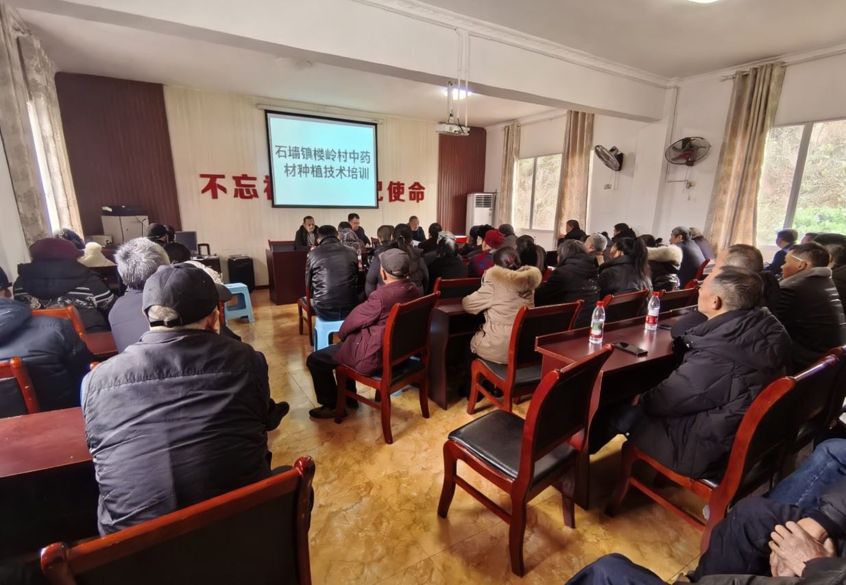 石墙镇精准施策推动就业服务见实效