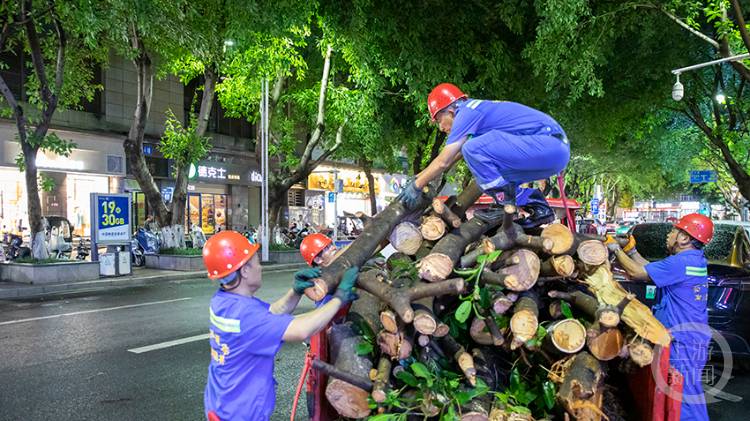 重庆南川:清除倒伏树枝 园林工人紧急排险