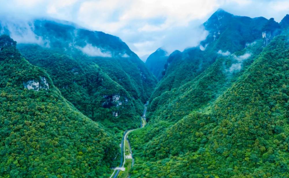 南川神龙峡：在“天然氧吧”中开启秋日治愈之旅