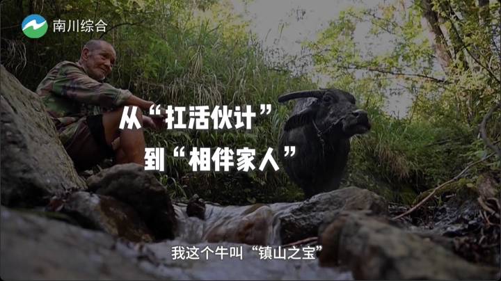 从“扛活伙计”到“相伴家人”：33年 同撑一个家